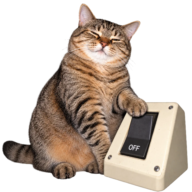 A content tabby cat, eyes half closed, resting one paw on a large beige rocker switch set to OFF
